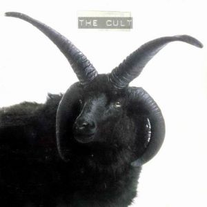 The Cult Album 