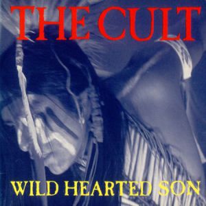 Wild Hearted Son - album