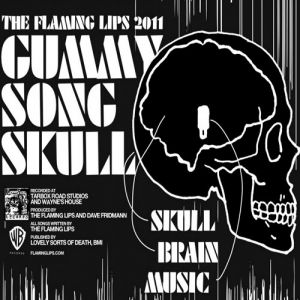 The Flaming Lips 2011 #3: Gummy Song Skull