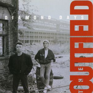 Diamond Days - album