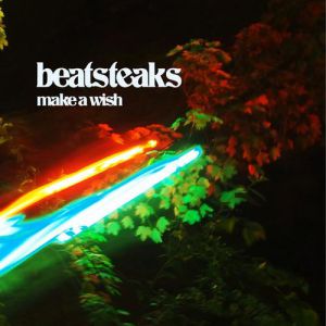 Make A Wish Album 