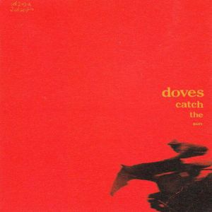 Catch the Sun - album